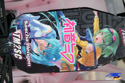 2014 ﻿﻿﻿﻿﻿DM Offroad Monster - Shortcouse